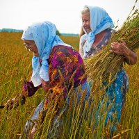 Ой ты Русь моя родная ... (Есенин) :: Владимир Хиль