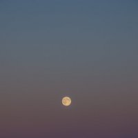 Луна :: Рома Даниленко