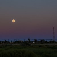 Луна :: Рома Даниленко
