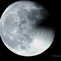 Луна :: Irina Schreiner