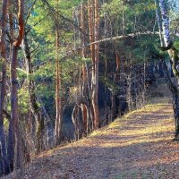 Вечерняя прогулка :: Галина Стрельченя