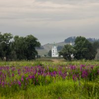 утро нового дня... :: Наталья ***