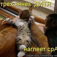 мяука :: Юрий Тарасов