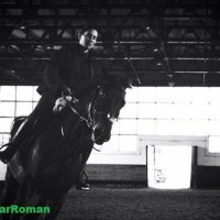 HORSE :: Roman GreenBear