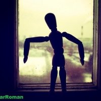 WINDOW :: Roman GreenBear