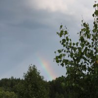кусочек радуги. :: марина ржаницына 