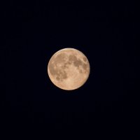 Луна :: Роман Борщёв