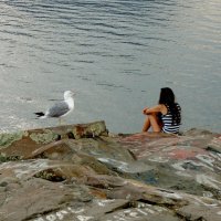 Чайка, девушка и море... :: BEk-AS 62