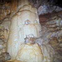 Хранитель пещеры...Н.Афон...Абхазия... :: Наталья Агеева