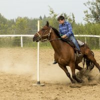 На Диком Западе :: Сергей Бушуев