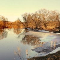 После зимней спячки :: Эркин Ташматов