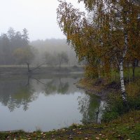 Осенний туман :: Сергей *