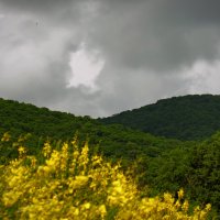 Тучи над горами :: Валерия Скиба