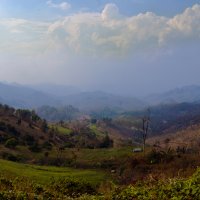 Долина в провинции Чианг Рай :: Мария Майданова