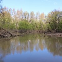 Калинино :: Александр Калугин