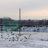 Городской пляж зимой. :: Владимир Фроликов