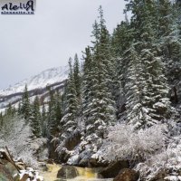 Зимняя сказка возле " Красных ворот" :: Алексей Лукьянченко