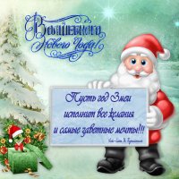 Всех с наступающим новым годом!!!! :: Василиса Никитина