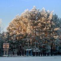 Национальный парк :: Евгений Дударев