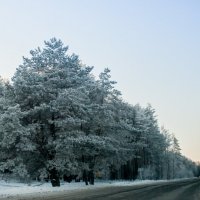 Дорога :: Евгений Дударев