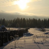 Зимний пейзаж :: Светлана Телегина