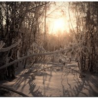 Предзакатное настроение :: Сергей Бережко