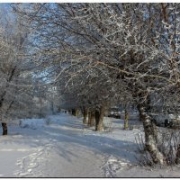 Декабрь в городе :: Сергей Бережко