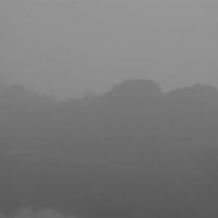 Туман :: Алексей Ярошенко