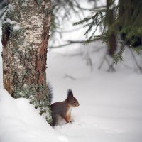 Спустилась побегать... :: Наталья Лузинова