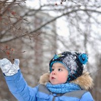 Снежный день :: Юлия Makarova