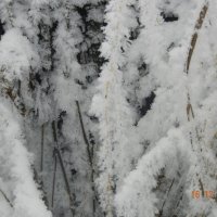 зима приходит.. :: Надежда Пономарева (Молчанова)