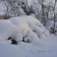 Здесь живут ЕТИ :: Николай Мальцев