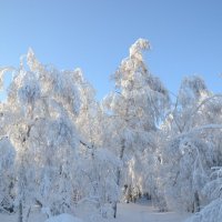 перевал Уреньга :: Дмитрий Яшин