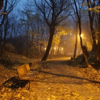 Осенний парк перед рассветом :: Павел Дунюшкин
