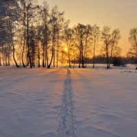 Вечерние прогулки :: Николай Мальцев