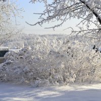 снежный ежик :: Елена Баландина