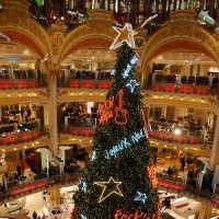 Елка в Galeries Lafayette :: Марина Витушкина