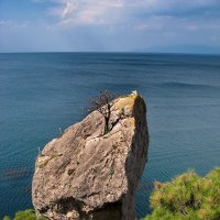 Одинокое дерево :: Марина Дегтярева