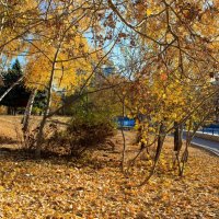 Осень в Одессе :: Вахтанг Хантадзе