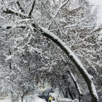 Заснежило :: Игорь Гришанин