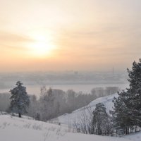зима в лесу :: Роман Червов