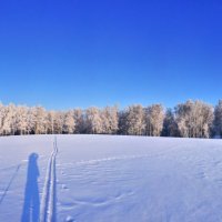 Панорама :: Николай Мальцев