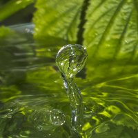 Танец чистой воды :: Соня Орешковая (Евгения Муравская)