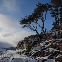 Зимой в горах :: Медведев Сергей 