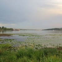 Обмелевшая река Костромка :: anna borisova 