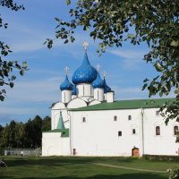 Собор Рождества Богородицы (Суздаль) :: Анастасия S