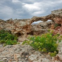 Тарханкут :: Николай Казачёк