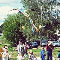 Фестиваль воздушных змеев (1). :: Владимир Валов
