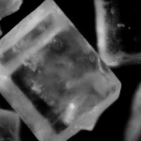 Призрак человека и животного можно увидеть в кристалле сахарного песка :: Николай Сапегин