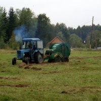 Заготовка сена. :: Елизавета Успенская